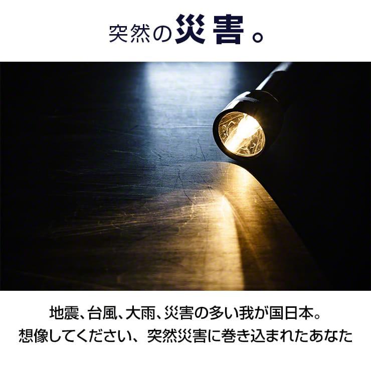 公式 | enevolt エネボルト 携帯用充電ケース Gosy ゴーシー 単3充電池 2150mAh セット 【防災士推奨】