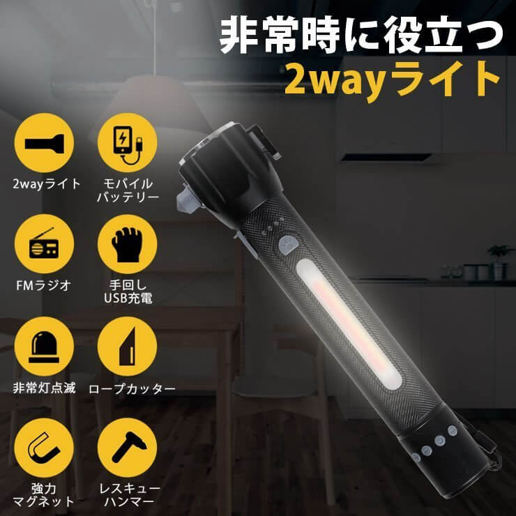 ASSIKE アズシーク ダイナモラジオライト ブラック