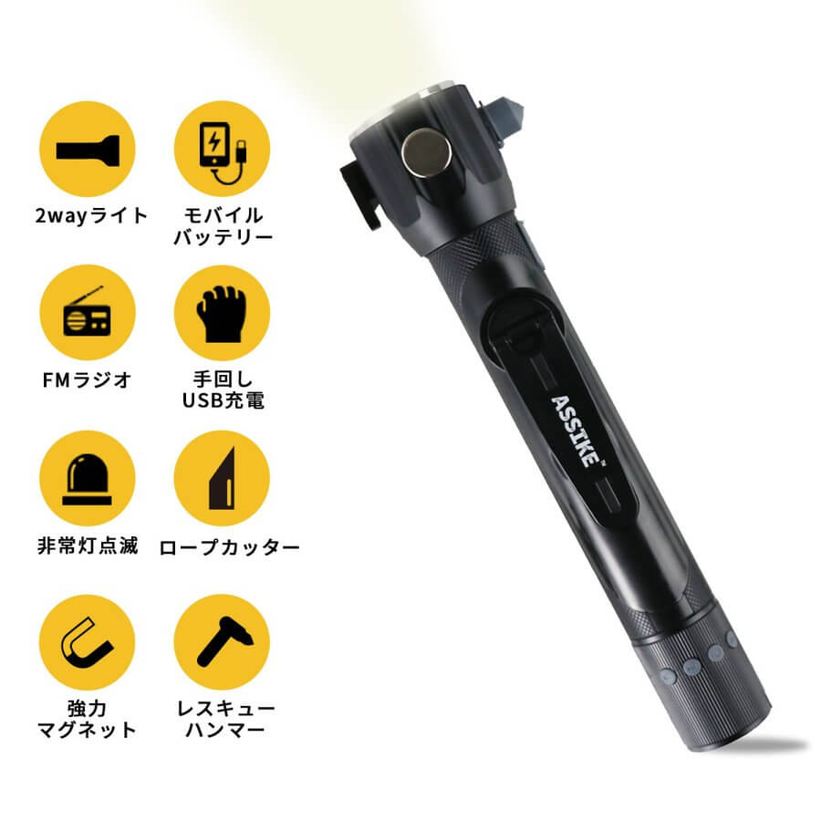 ASSIKE アズシーク ダイナモラジオライト ブラック