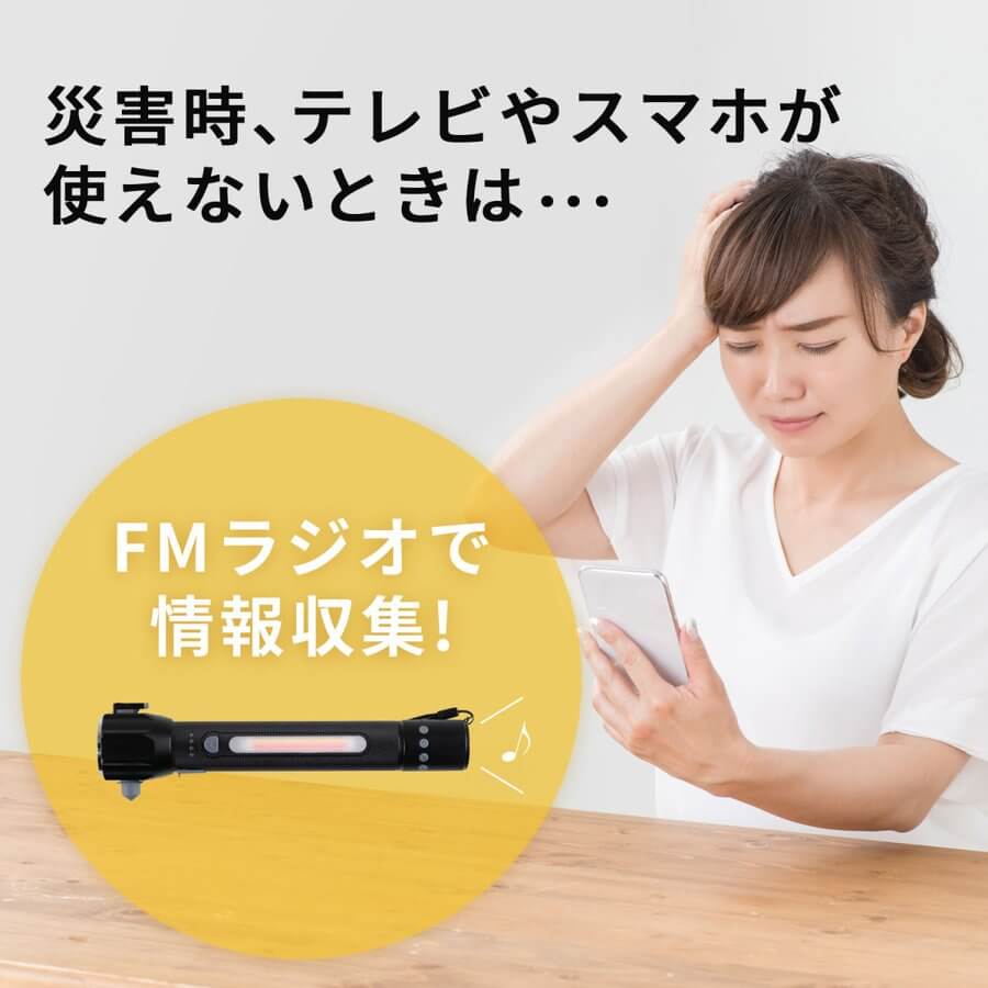 ASSIKE アズシーク ダイナモラジオライト ブラック