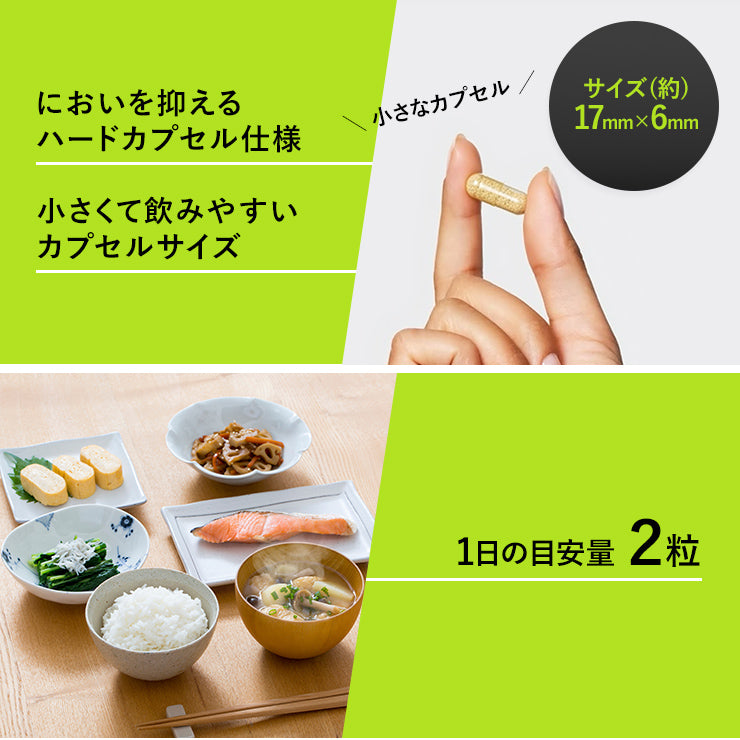 AGRelux アグリラックス 集中サプリ ZONIQ – スリーアールプラザ