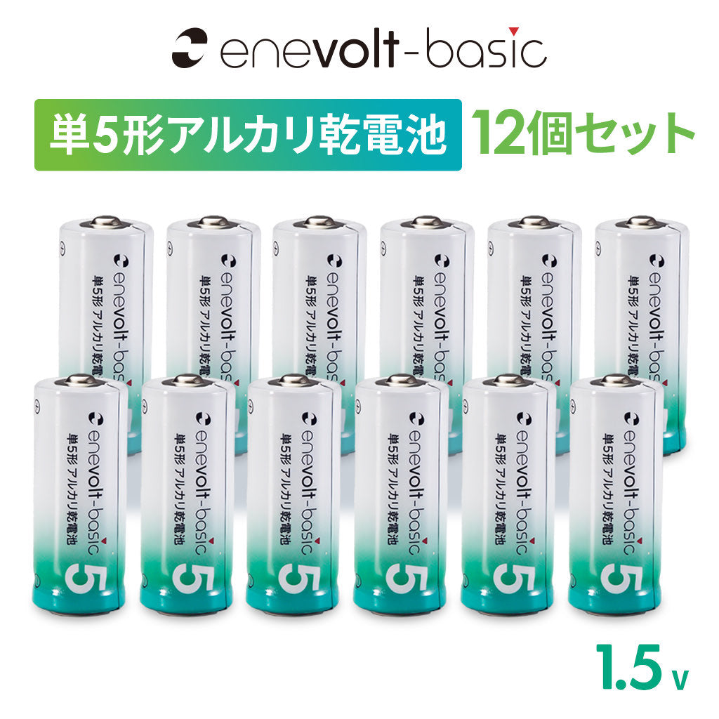 単5形 アルカリ乾電池 12本セット