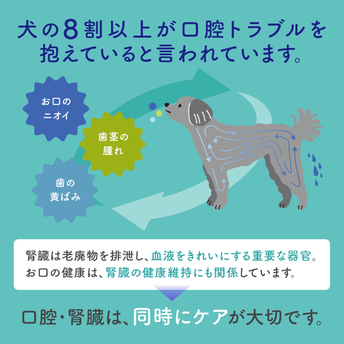 GenkiPaws 犬用 口腔ケアふりかけ ワンタッタ