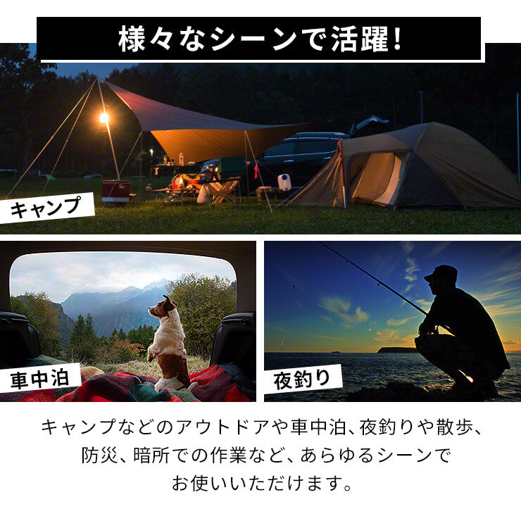 ASSIKE アズシーク LEDランタン Sサイズ 【在庫有】 14時までのご注文